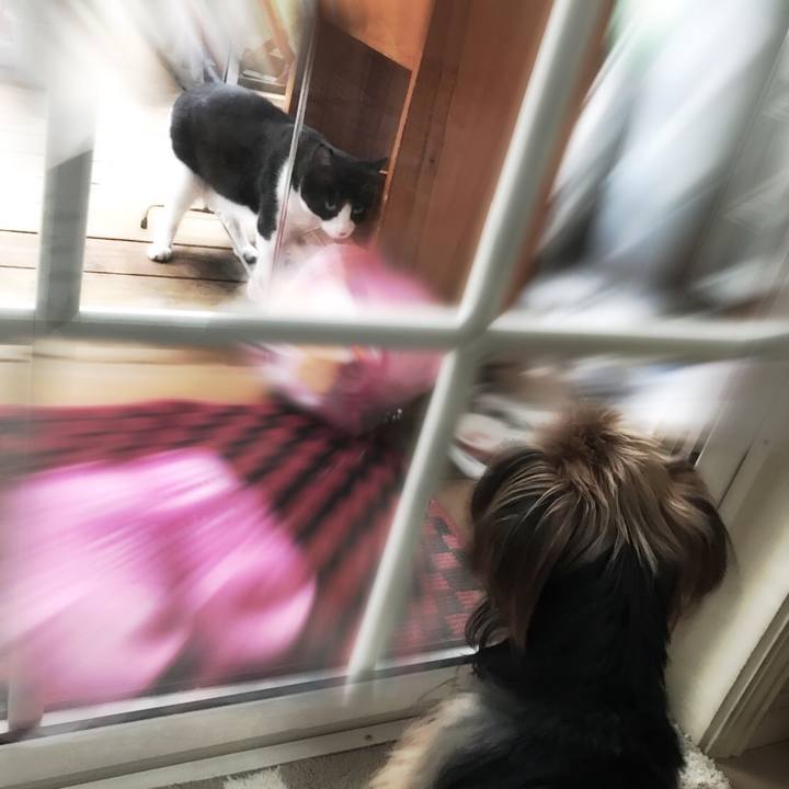 5788c244 038e 4109 80da 3de1976a118b