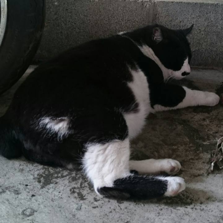 5788e117 bb0c 4292 939e 89b17c175fe2