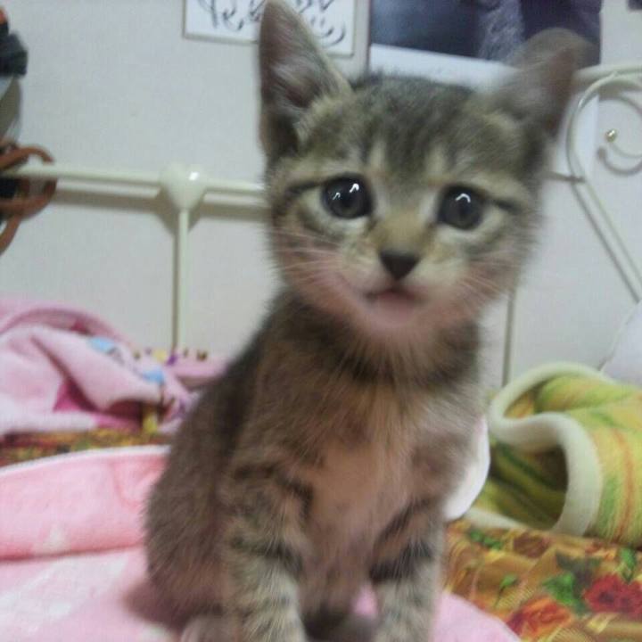 5789debd d03c 45b6 a371 b46ea793d0e6