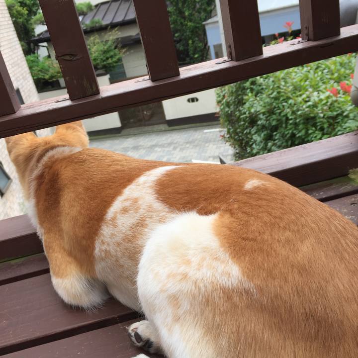 578a252c 1f06 40a8 81a2 577b21d7677d