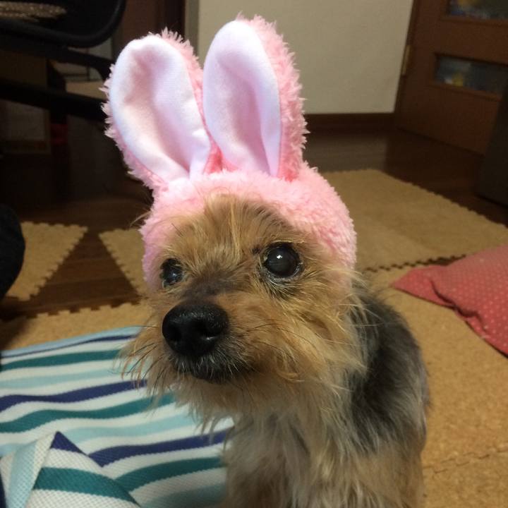 578a435a 6922 4d64 ab80 0f52a6b39601