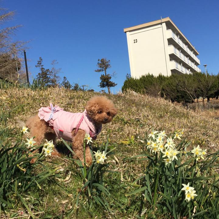 578ada31 8df9 48b8 98e8 d7cba7a63d7c