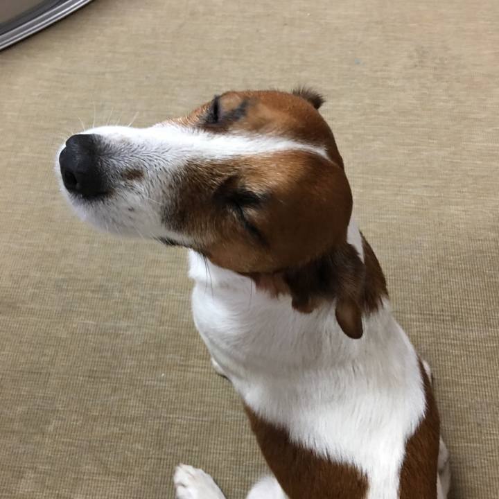 578b238f 896d 48b0 b605 db6ed45adcf2