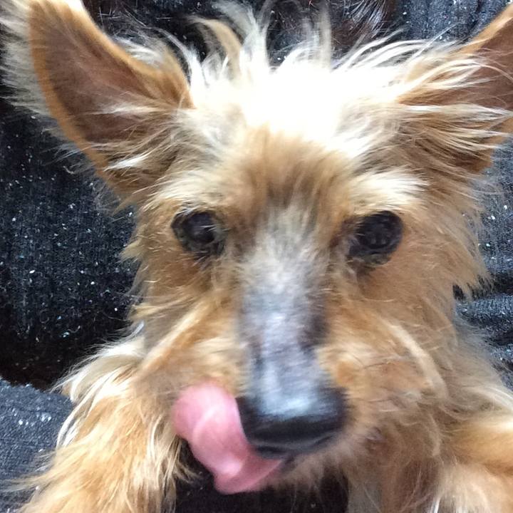 578b68a8 2ac5 48c8 991b bb86cf10cfcf