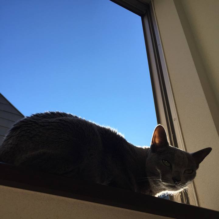 578bc6e2 4deb 4477 9210 00b94bf781be