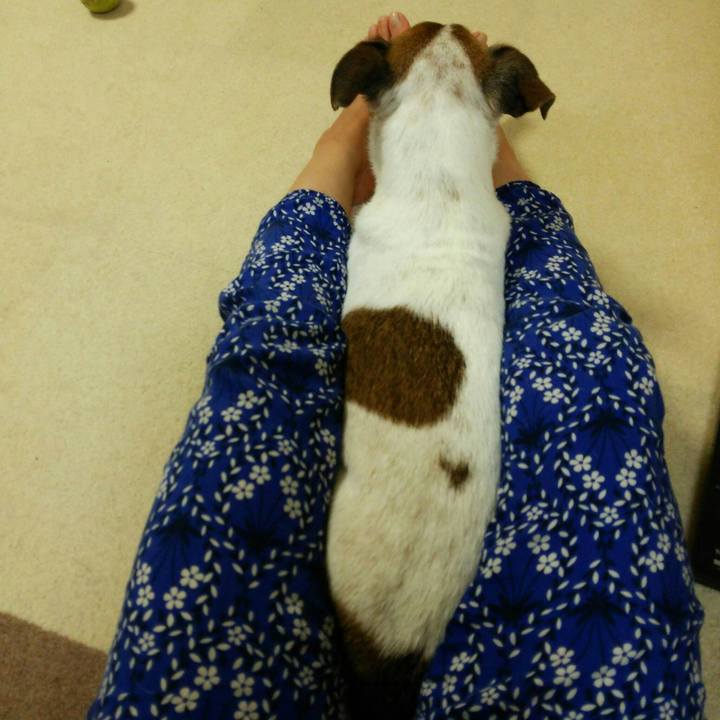 578c3a5e 08d8 4419 8e79 5148fd7aef46