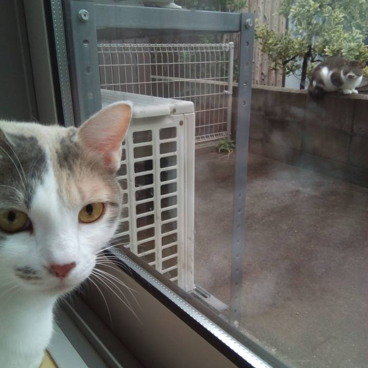 578c432c 5de2 4f72 a954 37119327c022