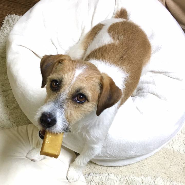 578d2976 efc0 4ea6 9bdd 75cdf5ef5da9