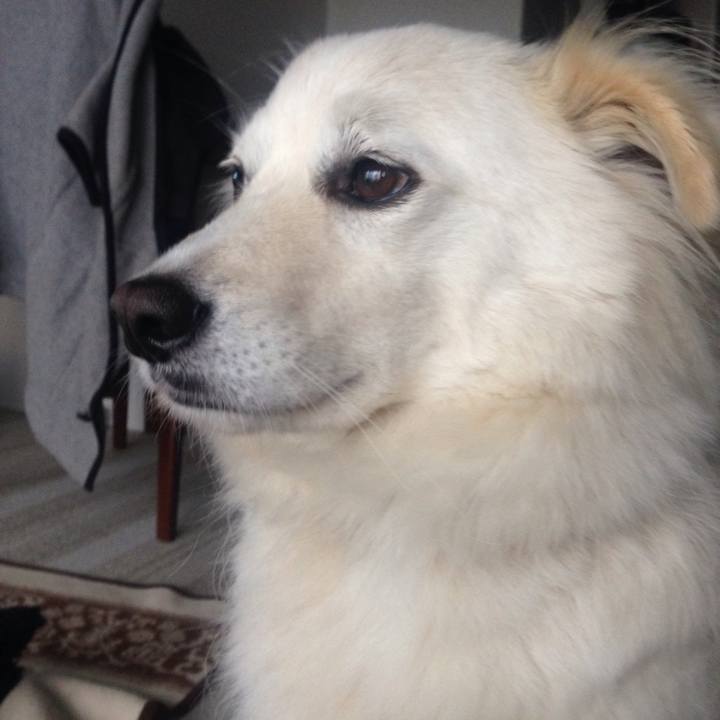 578d5406 ef10 4eda 874a 47b861497e30