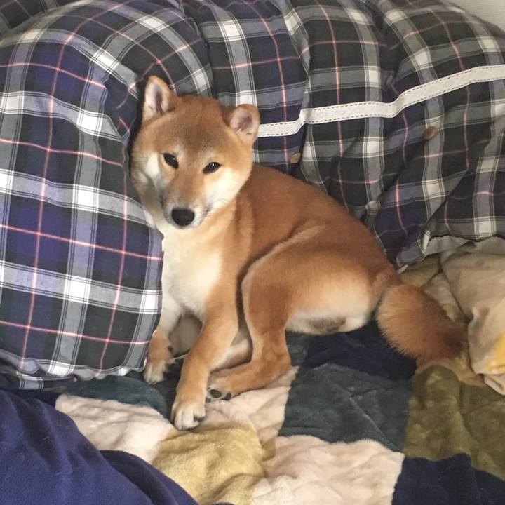 578d9c60 9c4d 4d77 9beb 305e973c3cbf