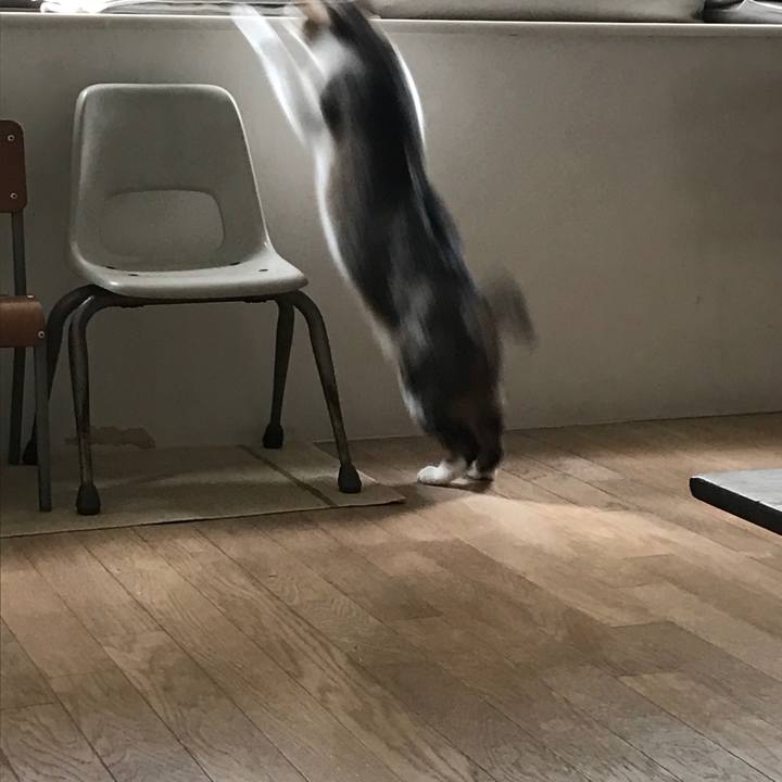 578f2cfb 1464 4a47 8a36 65c7d30dc467