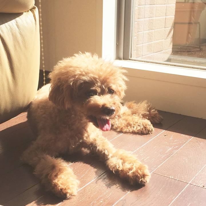 578f444f cb71 4df6 bfdd 19a6a63baa10