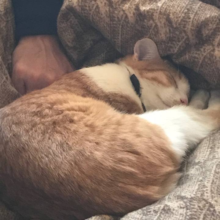 579098a2 111d 46f4 adbc 63aa3a92d520