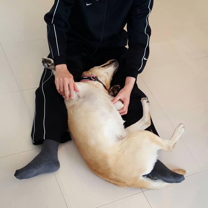 5790a76d 407b 456c a5fe 20c5cd7491a4