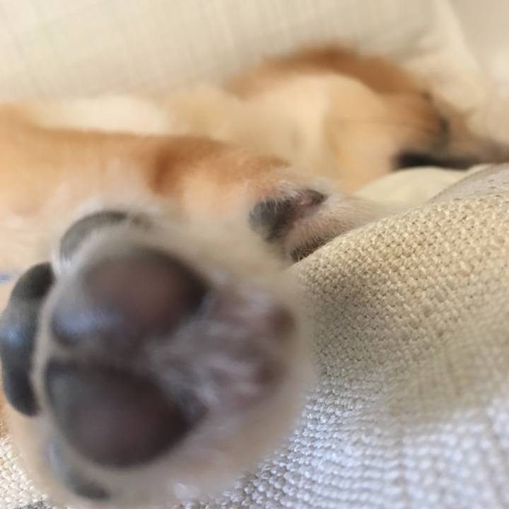 5790dab3 d9a6 4c22 b1ae 544ac5859f71