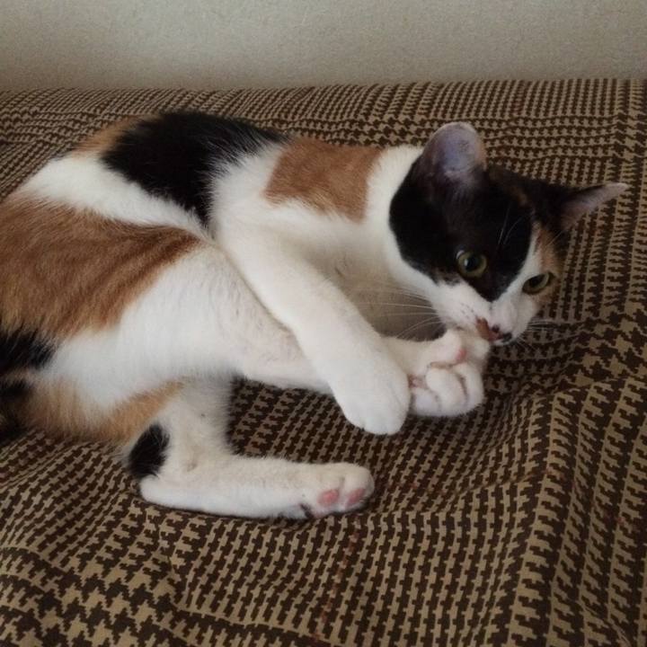 5790e71b b165 4229 96bd cf69b2e3308d