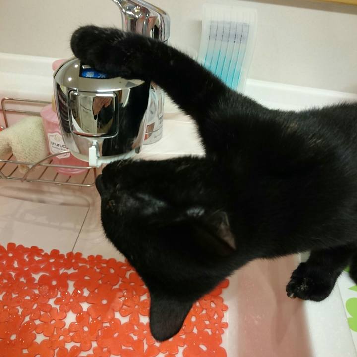 57911b59 7660 4102 9185 e8c7bc8c75f8