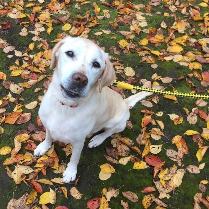 5791c4f1 0e20 4941 b5a3 251cf42003aa