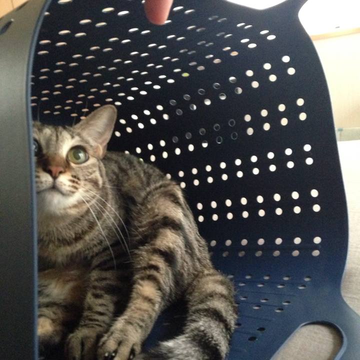 57920a25 12b2 4db6 8663 0aa6f305dc81