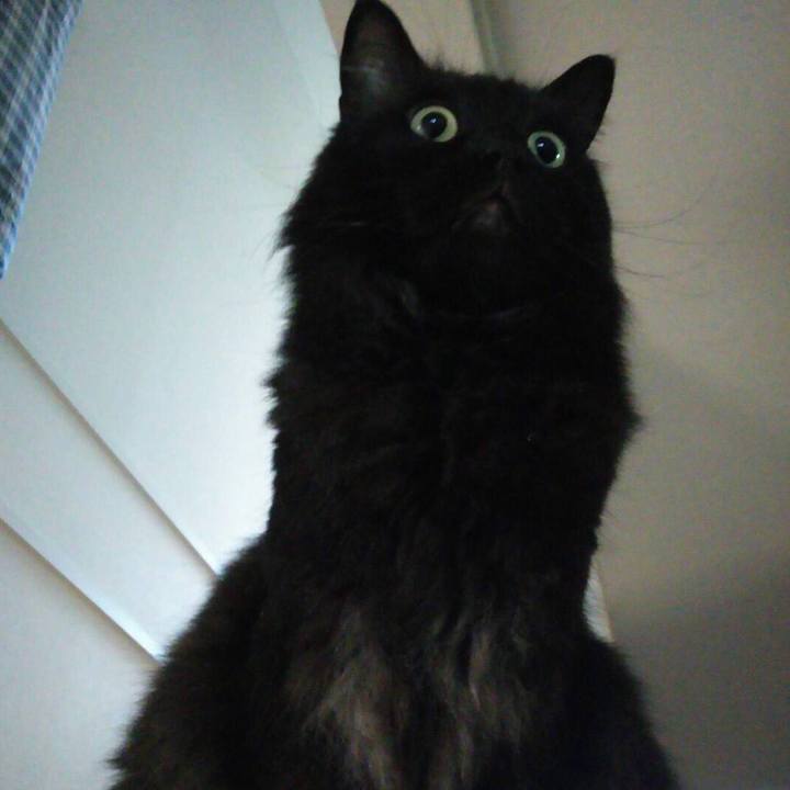 5792a456 4cde 4e59 a48b b7c61f5ce741