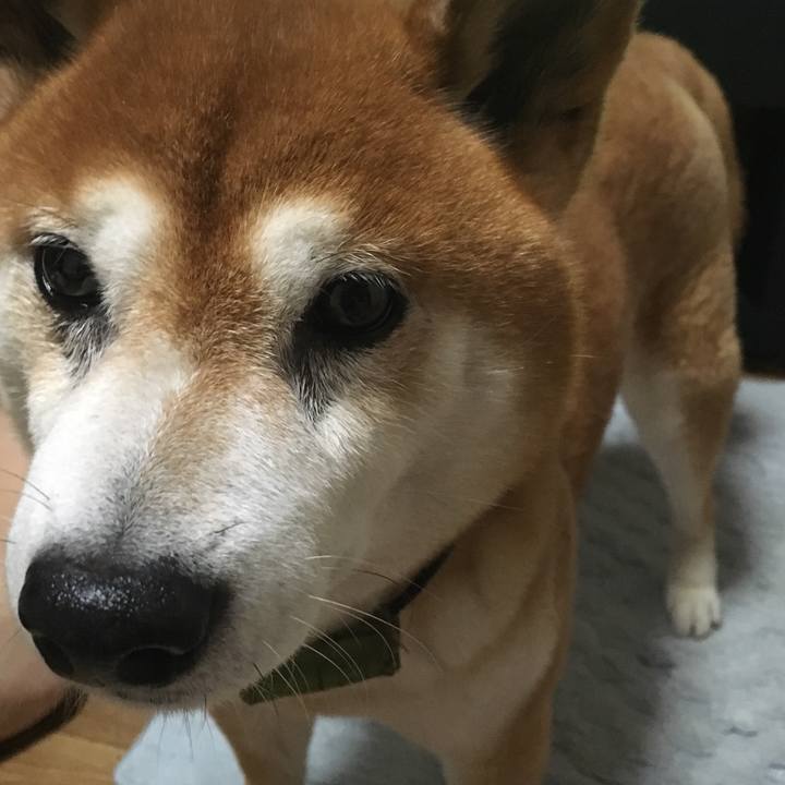 5792ad42 b777 4f50 8ed1 b69ced298781