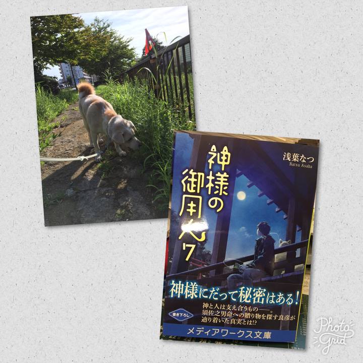 5792c10e 42ab 4252 bd07 ab8e65bbf1c1