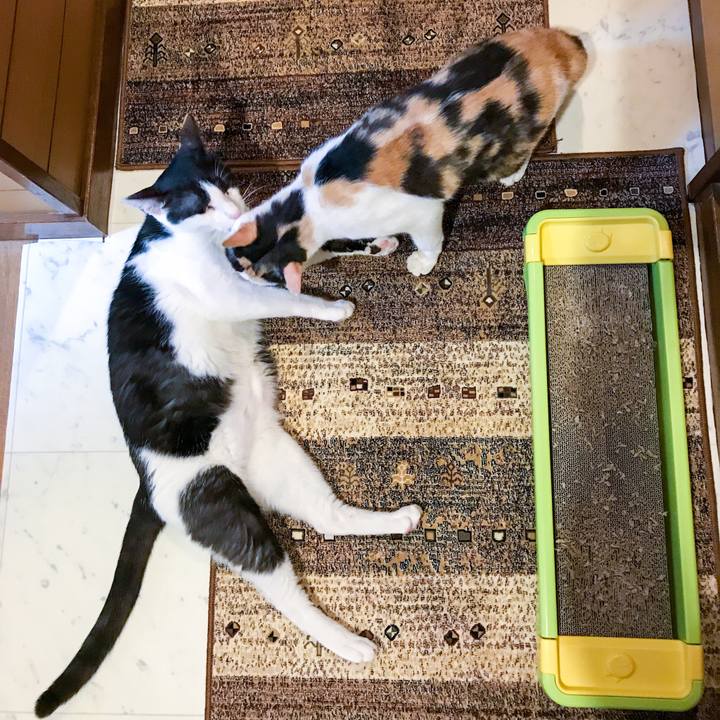 57930bf5 cfd3 4f82 be37 e85d348f7700