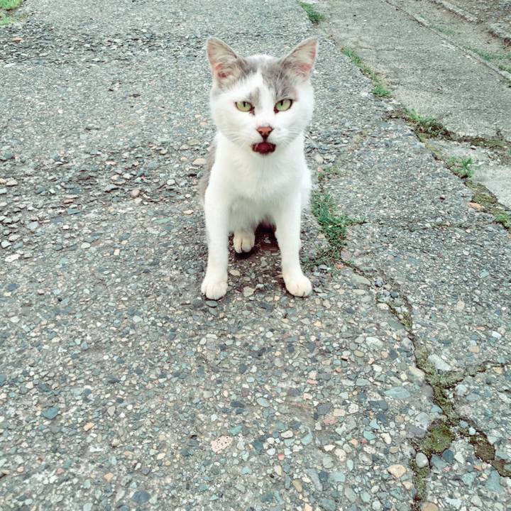 57936036 1530 41c0 b0cb 81e5ece02428