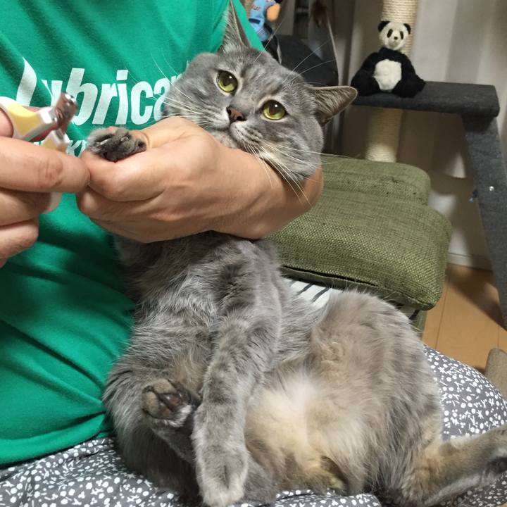 5793d852 7fa2 49e3 9695 0e360768c1ab