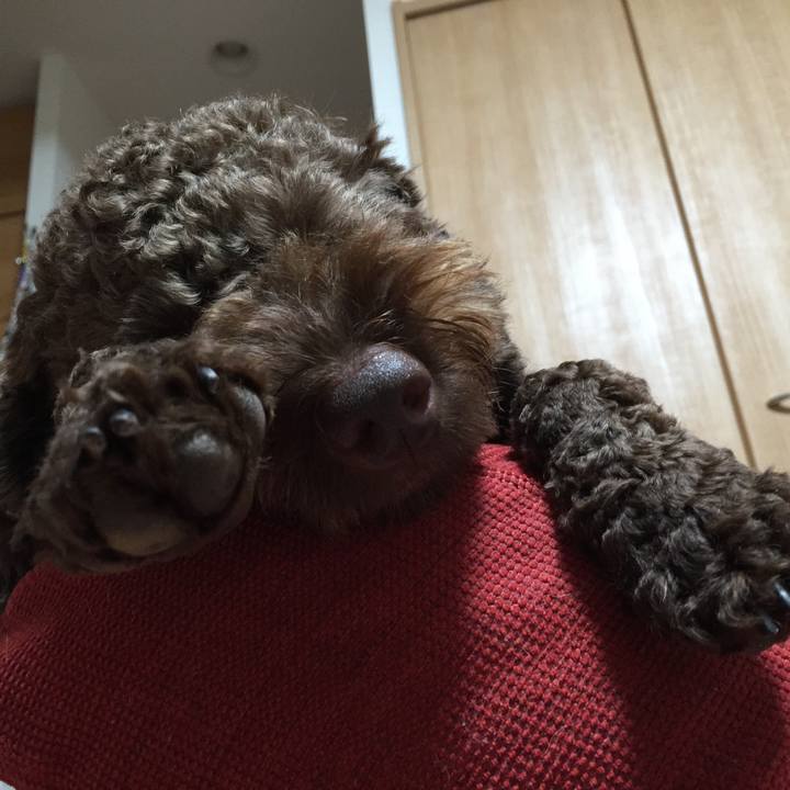 5794715c 5448 4e5e 96e3 e3e3eaf42c10