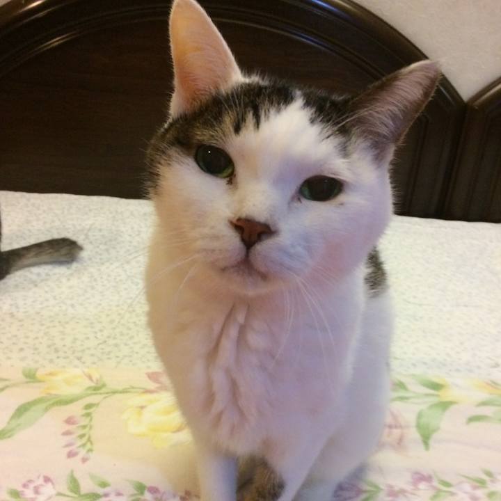 5794735a 9808 490c 870b 4eb6630384b5