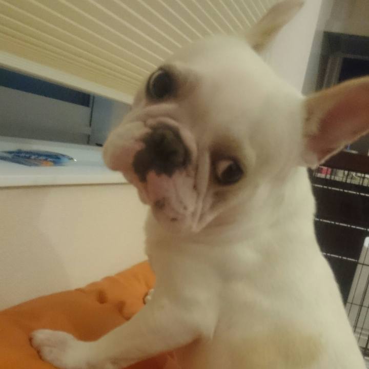 57953ebc d5d1 4d4f 816e 6c2ed8d82744