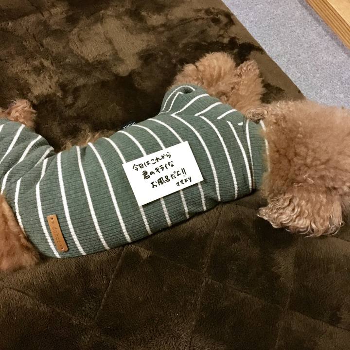 57954cfa 19b9 4292 949f f14eb9f04e04