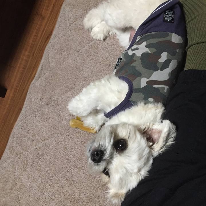 5795739f 336c 4b1e a94e a1197f331ae8