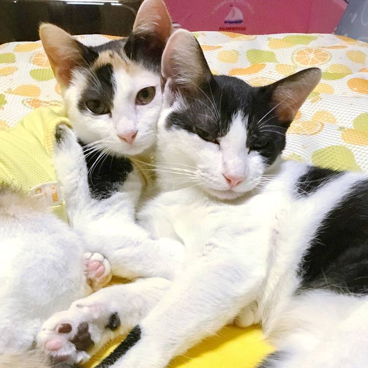 5796045a 58f6 48fc a89e 2ced9330054d