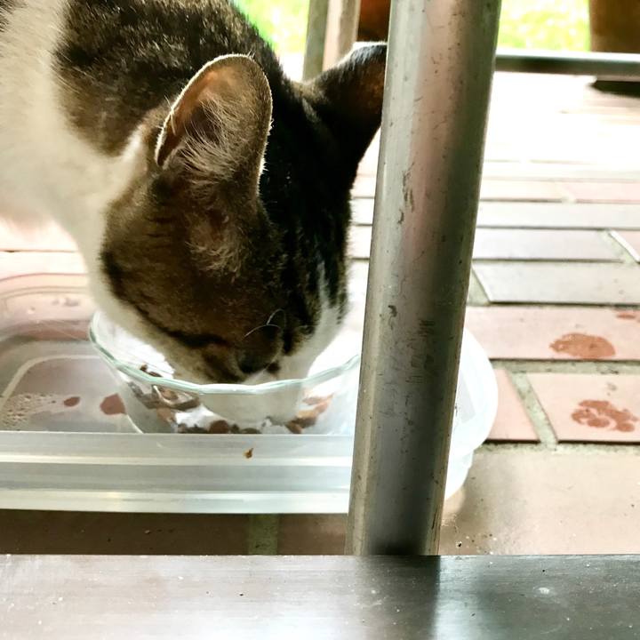 57962e46 cd3a 4b46 976c 1daed2534300