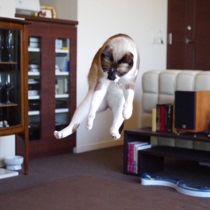 5796ee83 ed81 4830 a7ab 10f3bfcbba0d