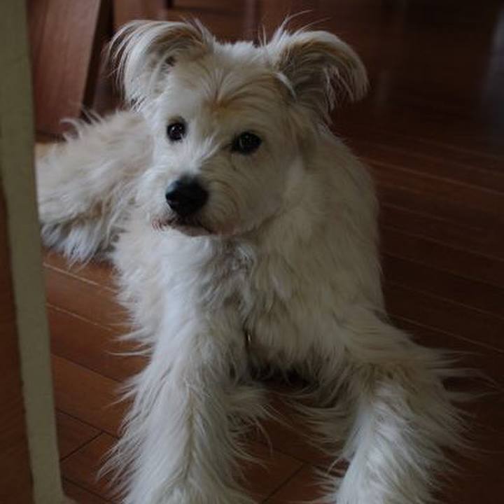 5797b183 f795 49bf 8f92 6b776f9f3492