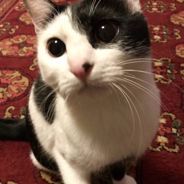 5797e324 bf3f 42b6 bf4c c0abefd18fc1