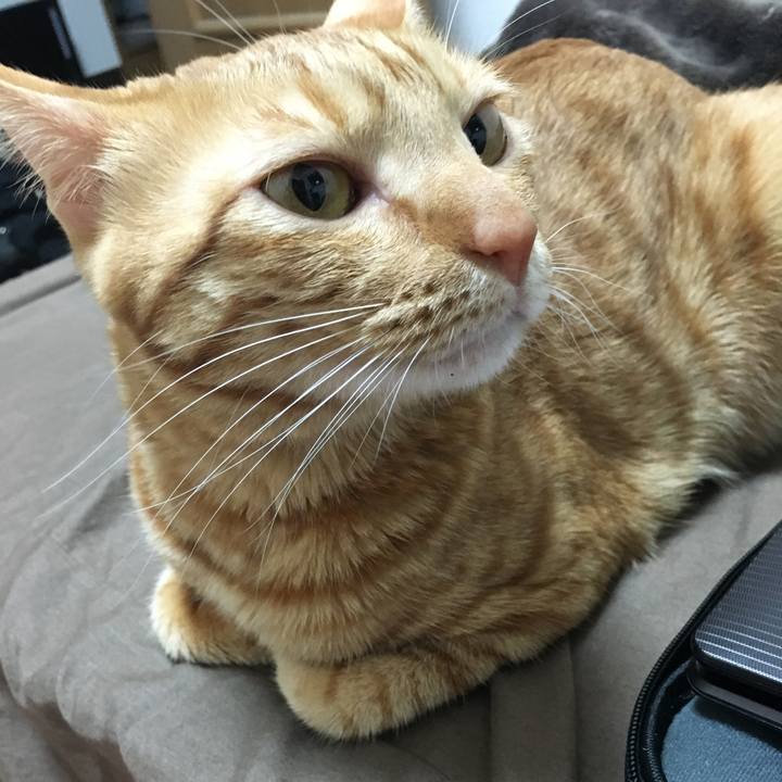 57981612 8b9d 4b5e 9b85 adab20e0ee4d