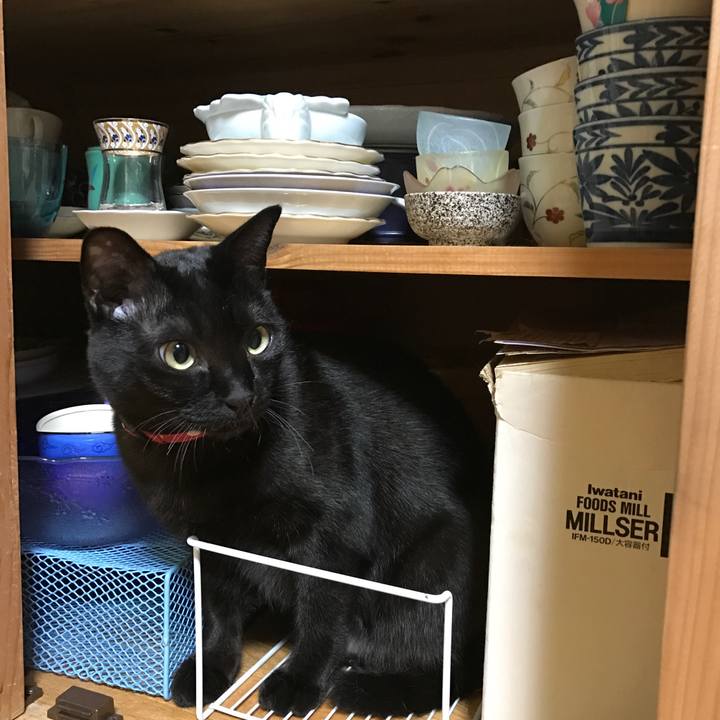 579885b7 e15a 4425 add2 320defd929b1