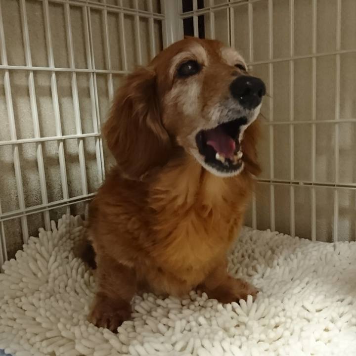 579905f3 494a 4483 a8f3 a798256a6534