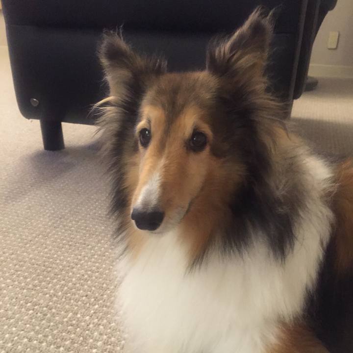 579a529c 05c9 4365 b6a1 8b08178e04fa