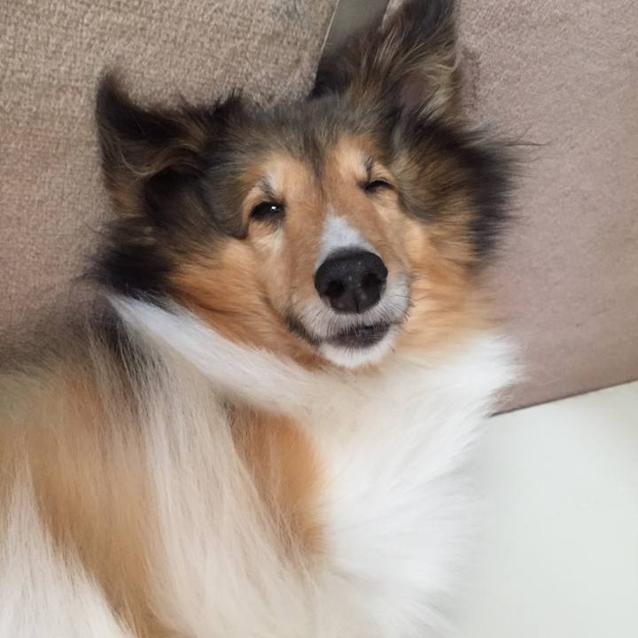 579a757e b8b5 4731 8906 3c466053565e