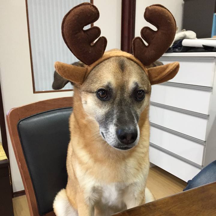 579afbe7 be8f 4152 bd73 c89e70303b68