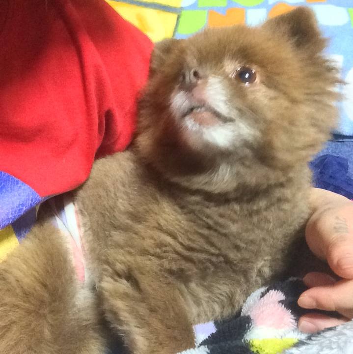 579b8338 a641 470f ad69 98cd2bfaefec