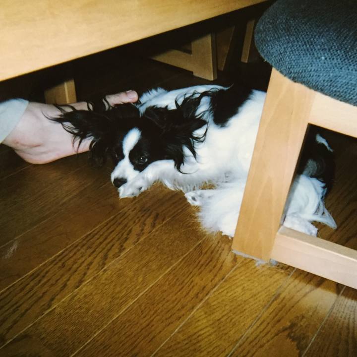 579bd2ef d604 41d2 b2fd 599a22479473