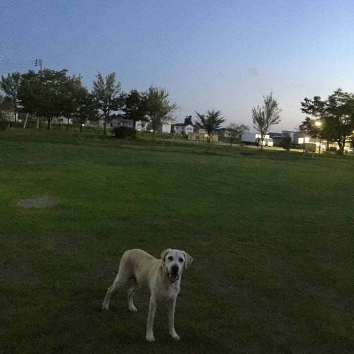 579c19ad f102 4899 a3fb d891cb1c296a