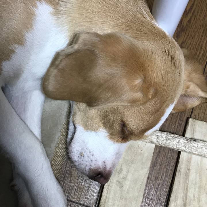 579c66ef 4a78 4ac4 84f5 6126e5552f37