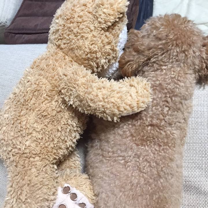 579ccd41 4633 49d8 a854 a4d0de4fa706